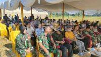 Kasdim 0607/Kota Sukabumi saat mengikuti kegiatan panen padi Nusantara di Kecamatan Cikembar Kabupaten Sukabumi.| ist