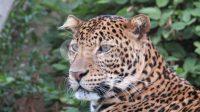 IMG-20260507-WA0013