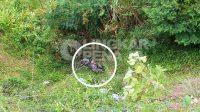 IMG-20260527-WA0082