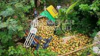 IMG-20260613-WA0055