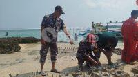 IMG-20260617-WA0032