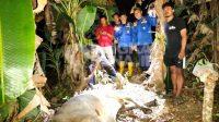 IMG-20260721-WA0009