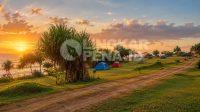 IMG-20260802-WA0016