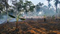 IMG-20260802-WA0033