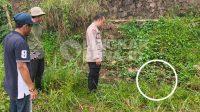 IMG-20260802-WA0053