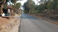 IMG-20260813-WA0075