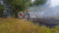 IMG-20260819-WA0118
