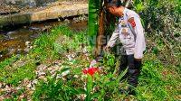 IMG-20260904-WA0040