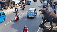 IMG-20261008-WA0009